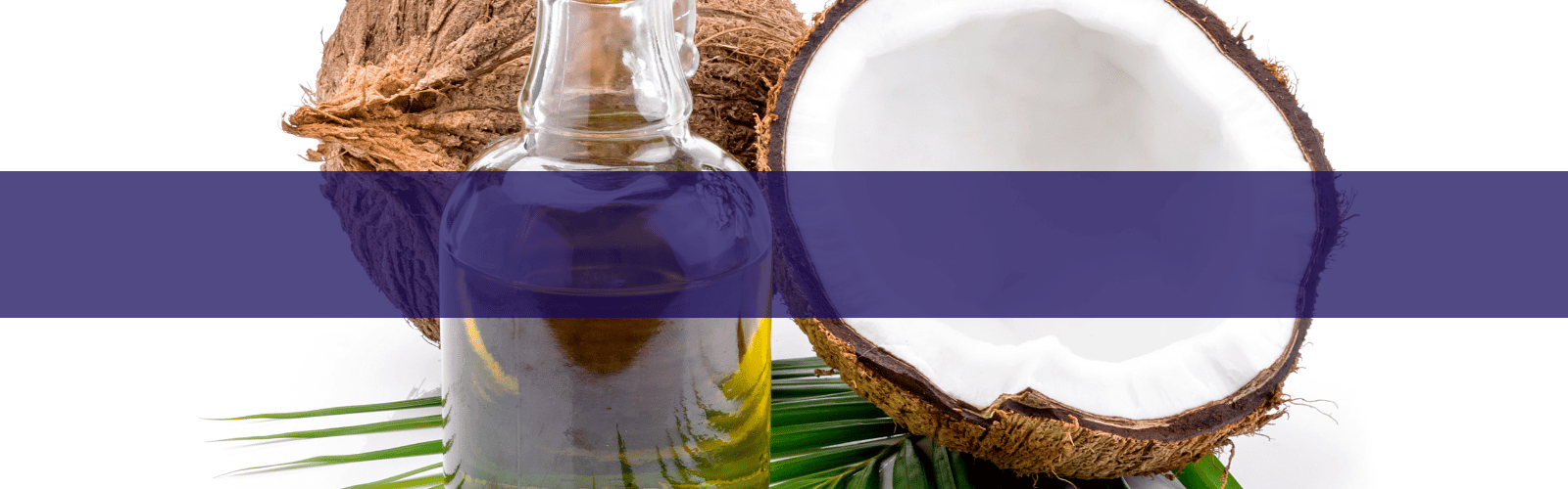 Coconut Header Coconut Oil - American International Ingredients, Inc.